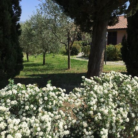 Villa Il Principino Country Resort Vinci Exterior foto
